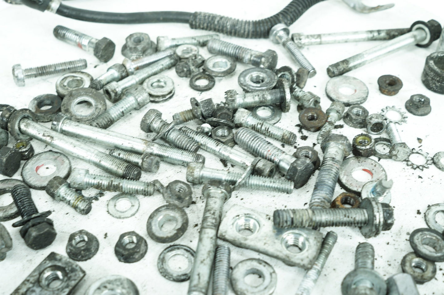 1986 - 2003 Harley-Davidson Sportster 1200 Hardware Bolts Nuts & Brackets