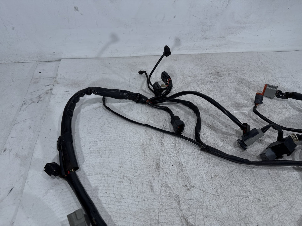 2002 Harley Dyna Wide Glide FXDWG OEM Main Wire Wiring Harness Loom CARB