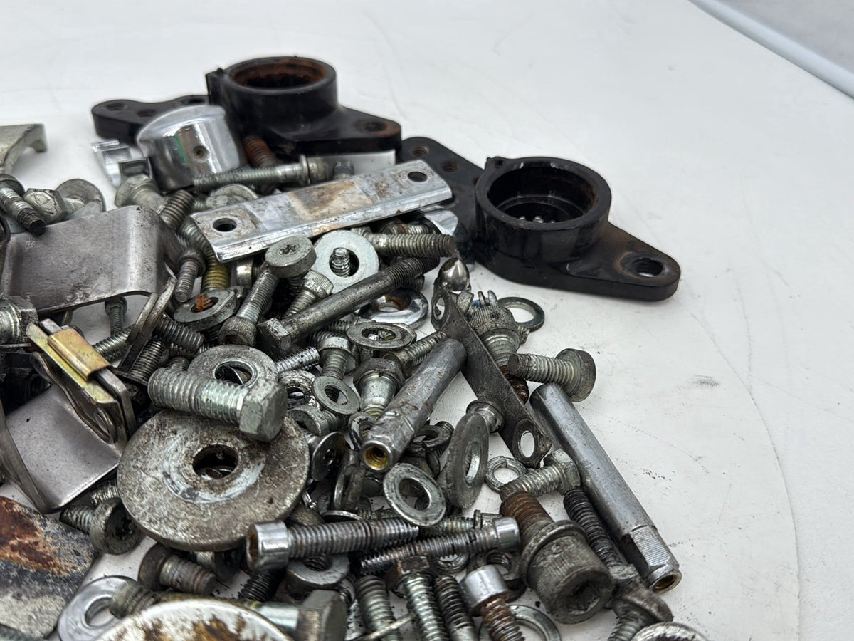 2002 Harley Touring Screamin Eagle Road King OEM Hardware Bolts Nuts & Brackets