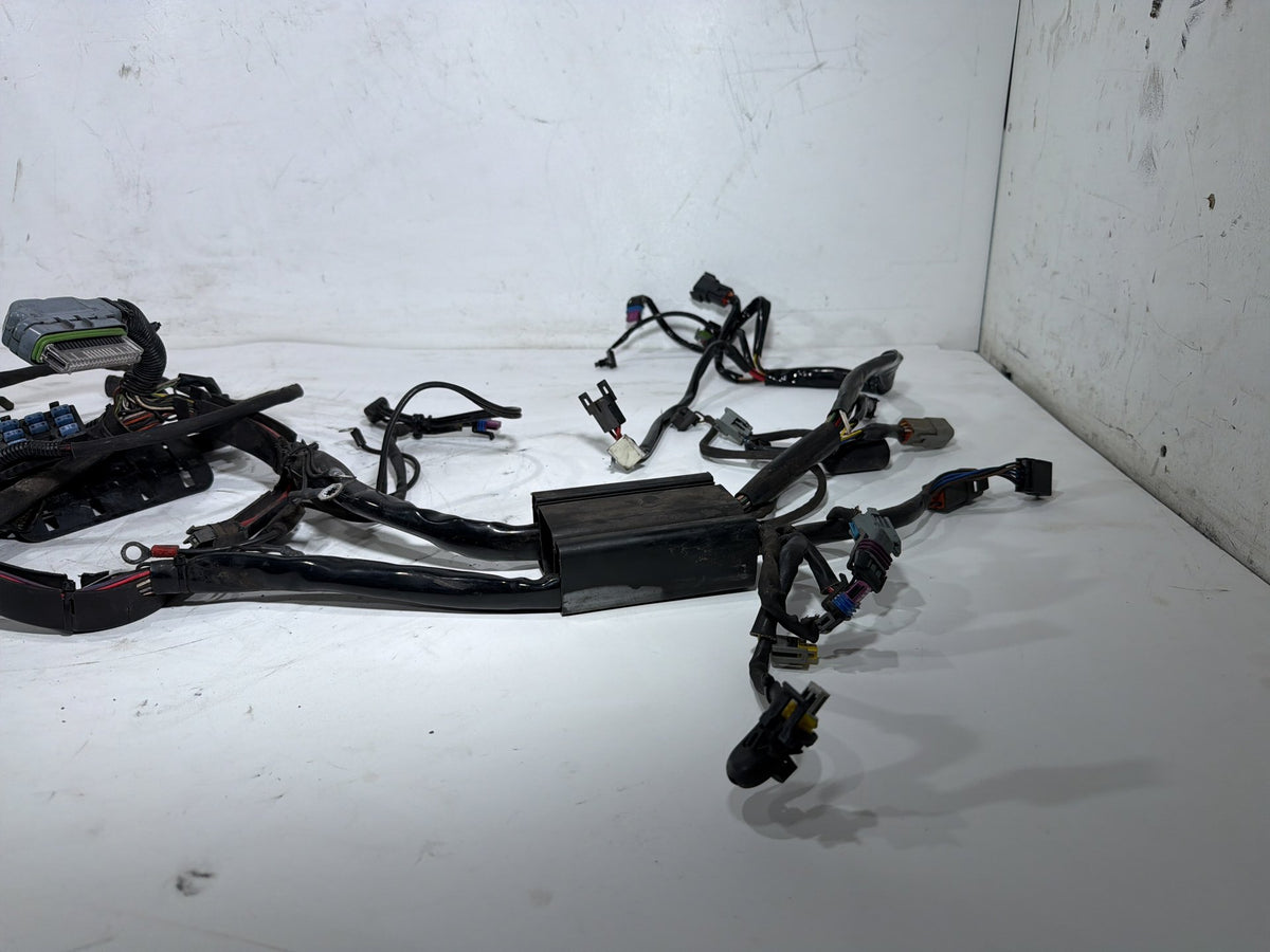 2006 Harley Softail Deuce FXSTDI OEM Main Wire Wiring Harness Loom EFI