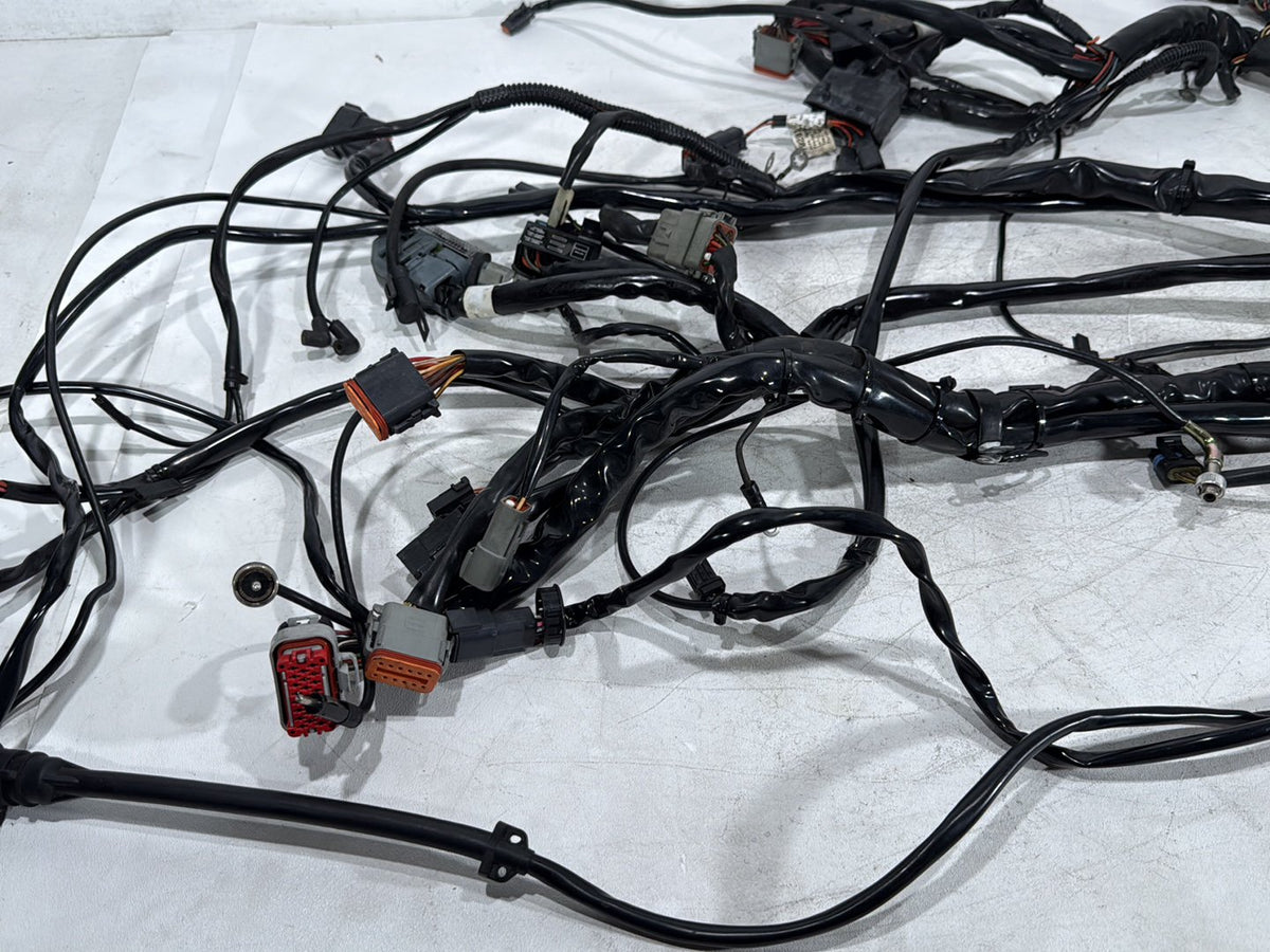 2003 Harley Electra Glide Touring Ultra OEM Main Wire Wiring Harness Loom