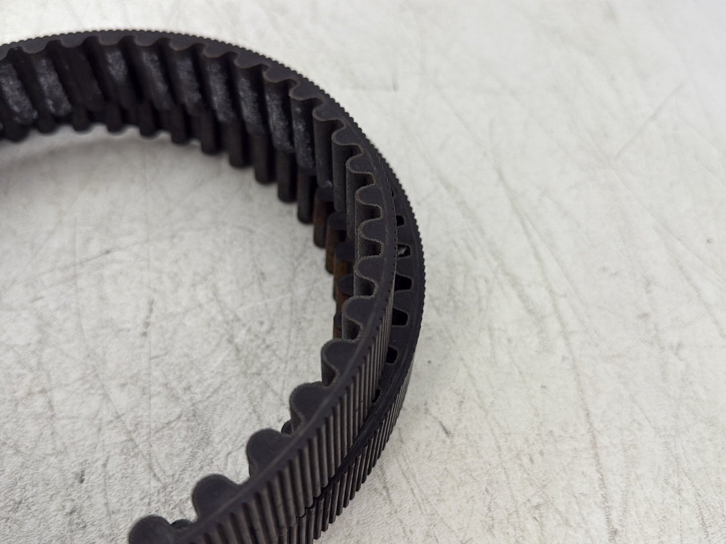 2006 Harley Road King Touring FLHRCI Classic OEM Rear Drive Belt