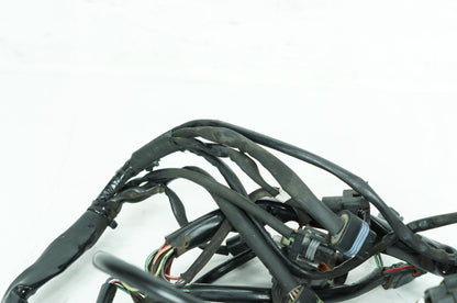 1999 - 2006 Harley-Davidson Touring Electra Glide Ultra Main Wire Wiring Harness Loom 70985-00