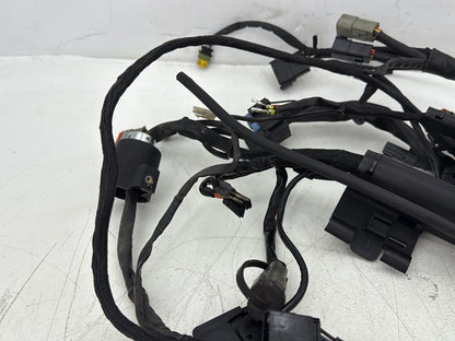 2006 Harley Sportster XL883L Low Main Wire Wiring Harness Ignition Switch NOKey