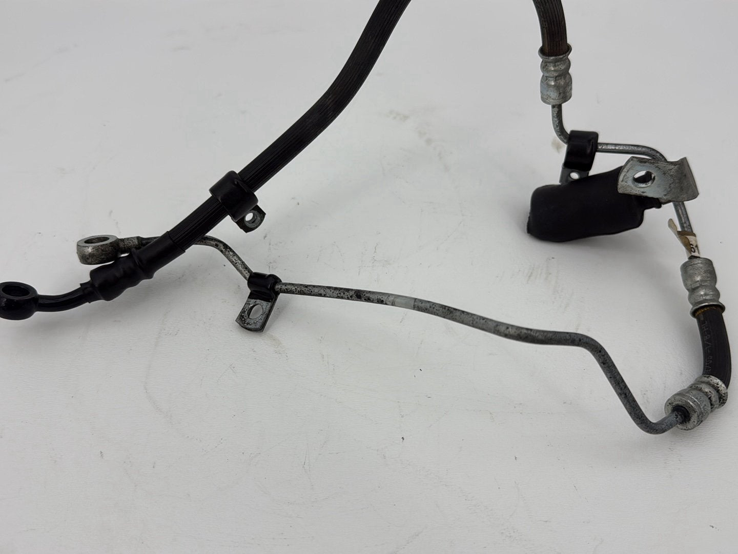 2003 Harley Sportster XL1200C 1200 Custom Anniversary OEM Rear Brake Hose Line Pipe