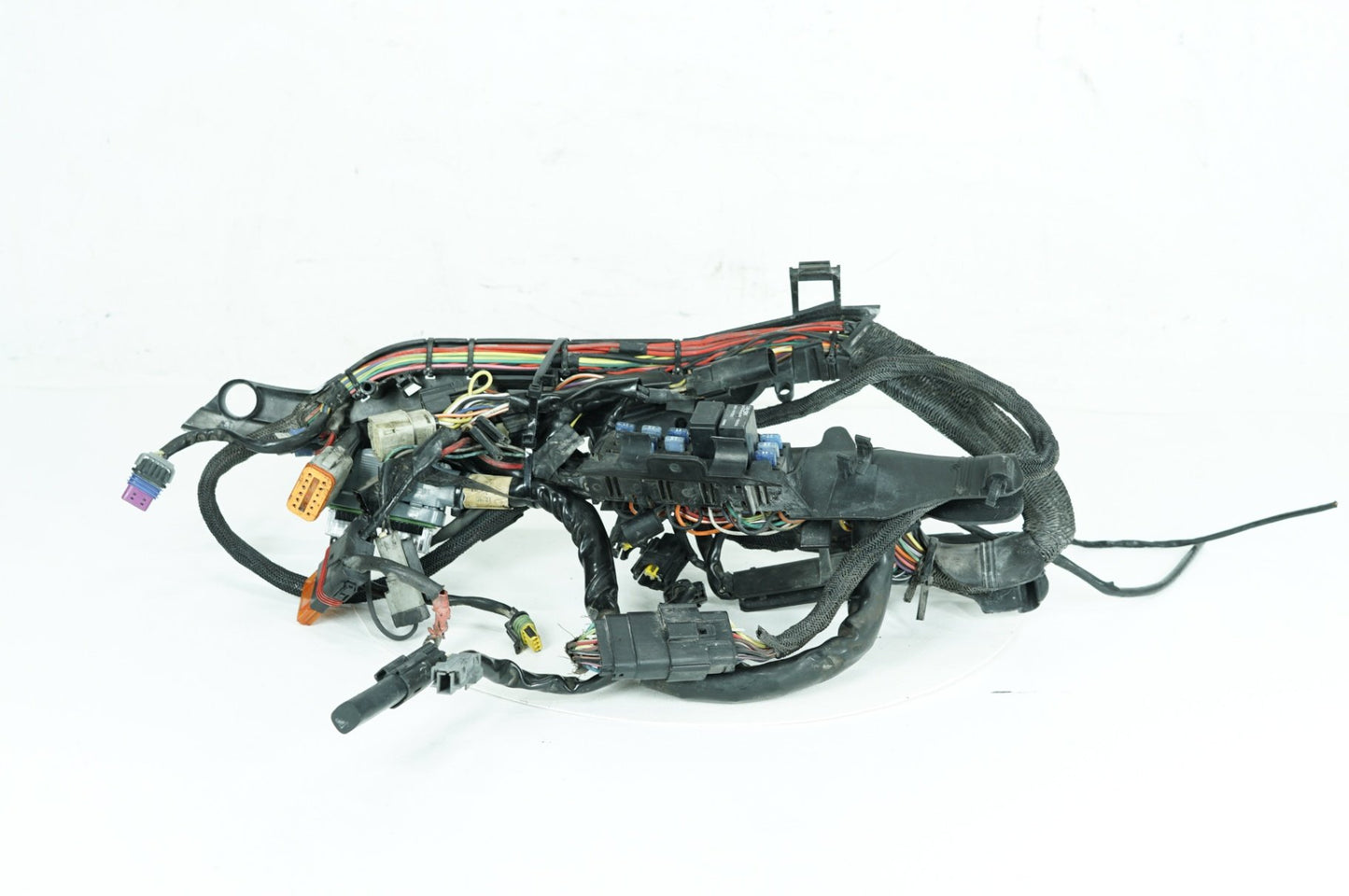 2004 - 2022 Harley-Davidson Sportster Custom Anniversary Main Wire Wiring Harness Loom 70181-08