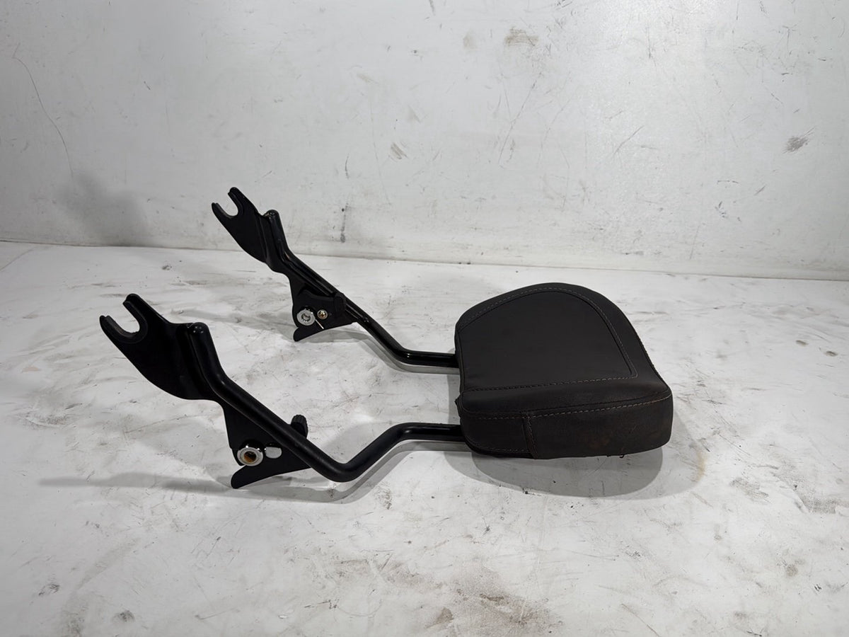 2022 Harley Road King Touring FLHR OEM Rear Sissy Bar w/ Backrest Cushion Pad