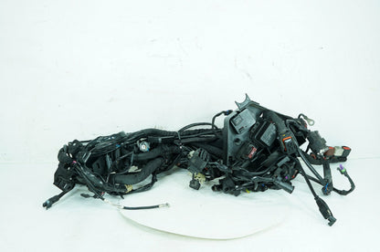 2017 Harley Touring Electra Glide Ultra OEM Main Wire Wiring Harness Loom ABS