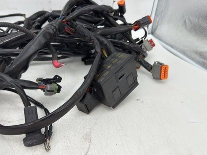 1999 - 2006 Harley-Davidson Touring Electra Glide Ultra Main Wire Wiring Harness Loom 70985-04