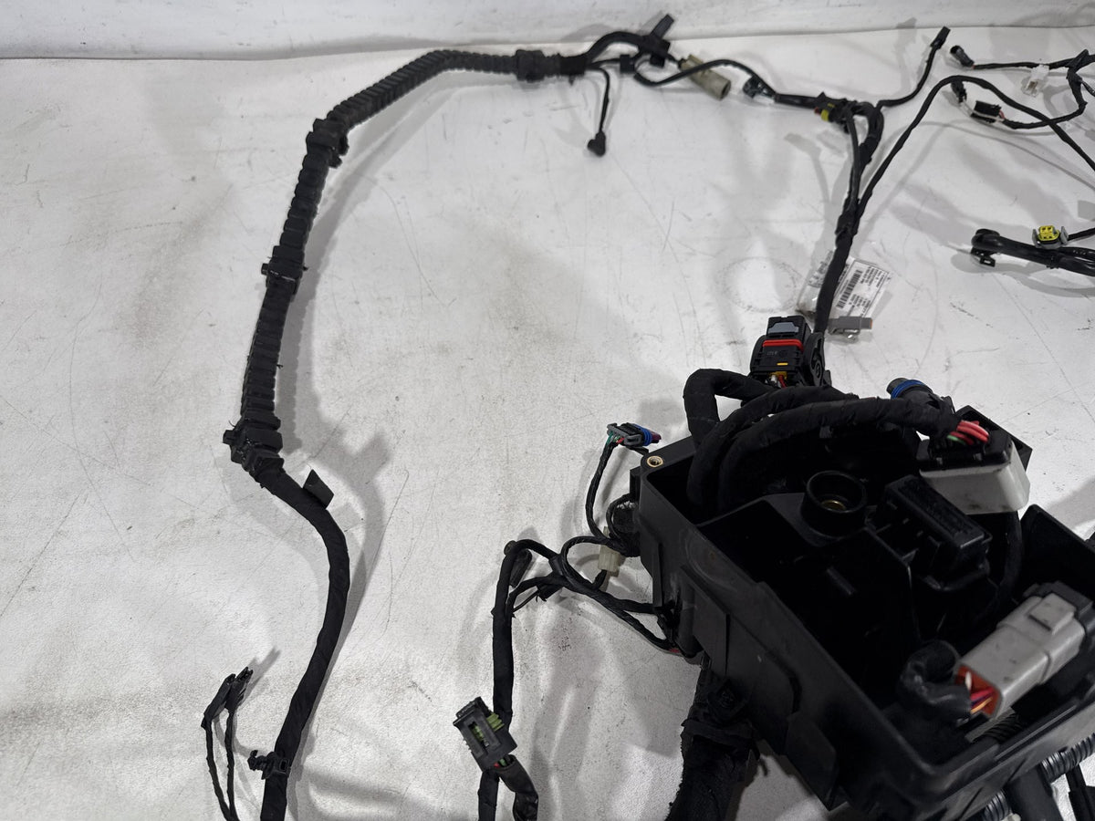 2016 Harley Dyna Fat Bob FXDF 103 OEM Main Wire Wiring Harness Loom