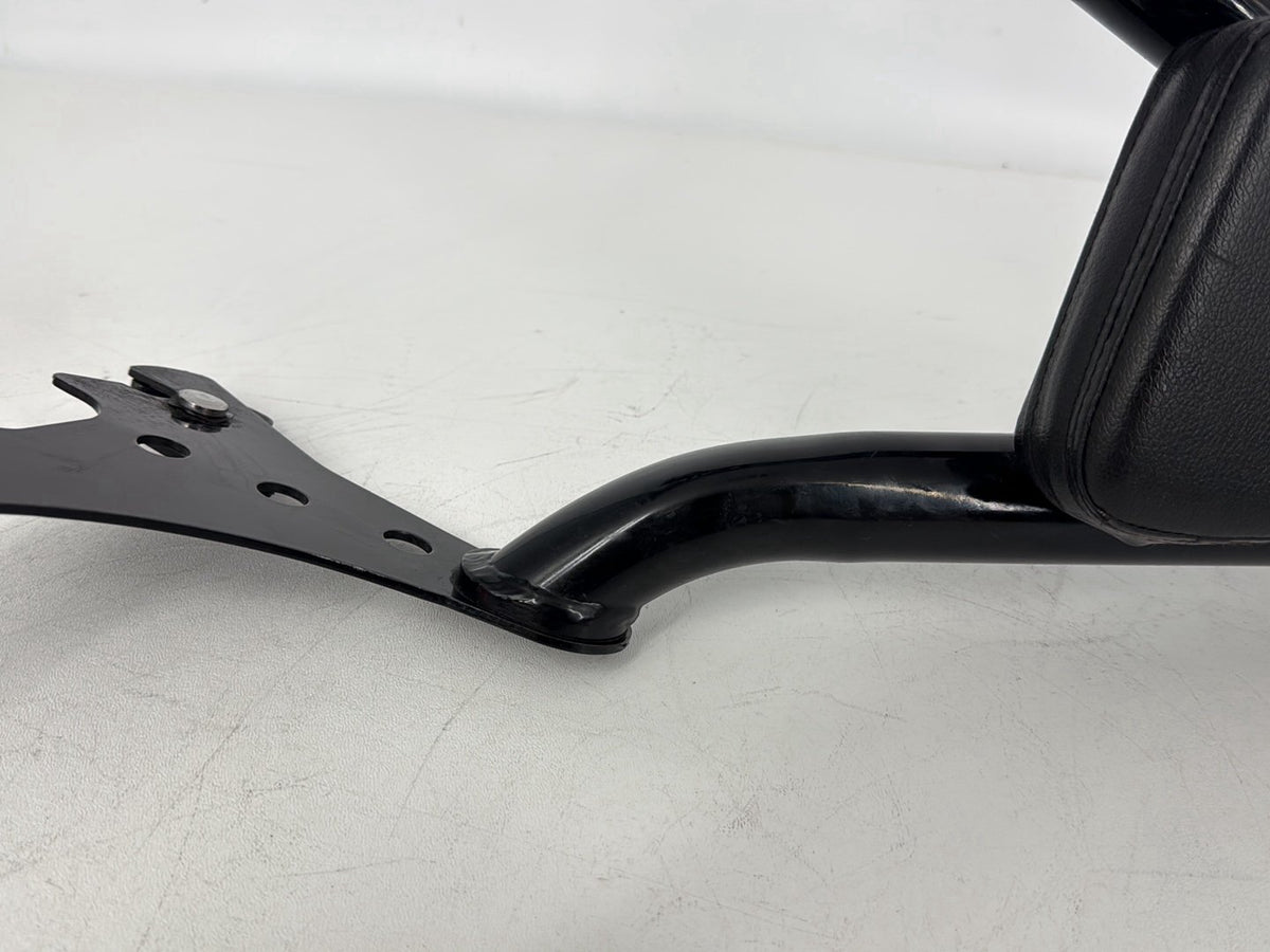 05 Harley Sportster XL883C 883 Custom OEM Rear Sissy Bar w/ Backrest Cushion Pad