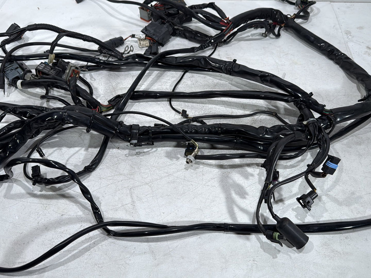 2003 Harley Electra Glide Touring Ultra OEM Main Wire Wiring Harness Loom