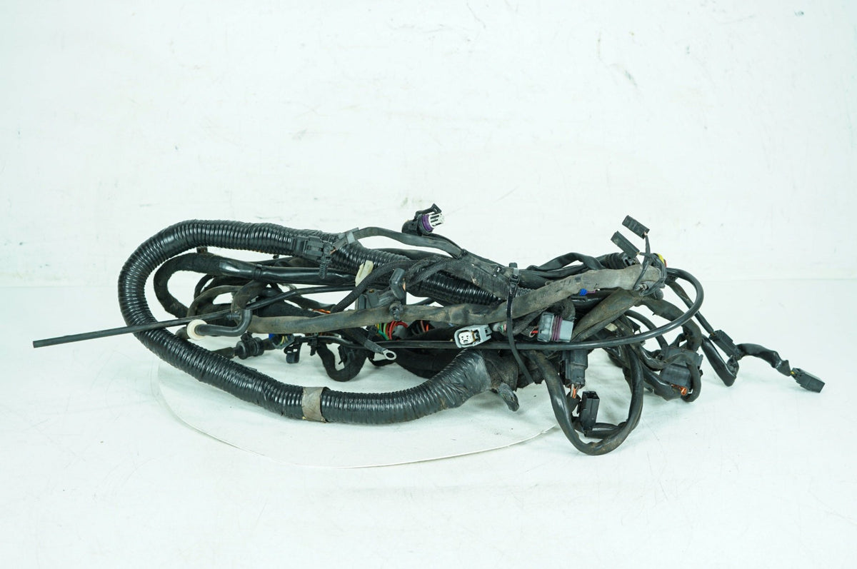 2008 Harley Dyna FXDL Low Rider OEM Main Wire Wiring Harness Loom