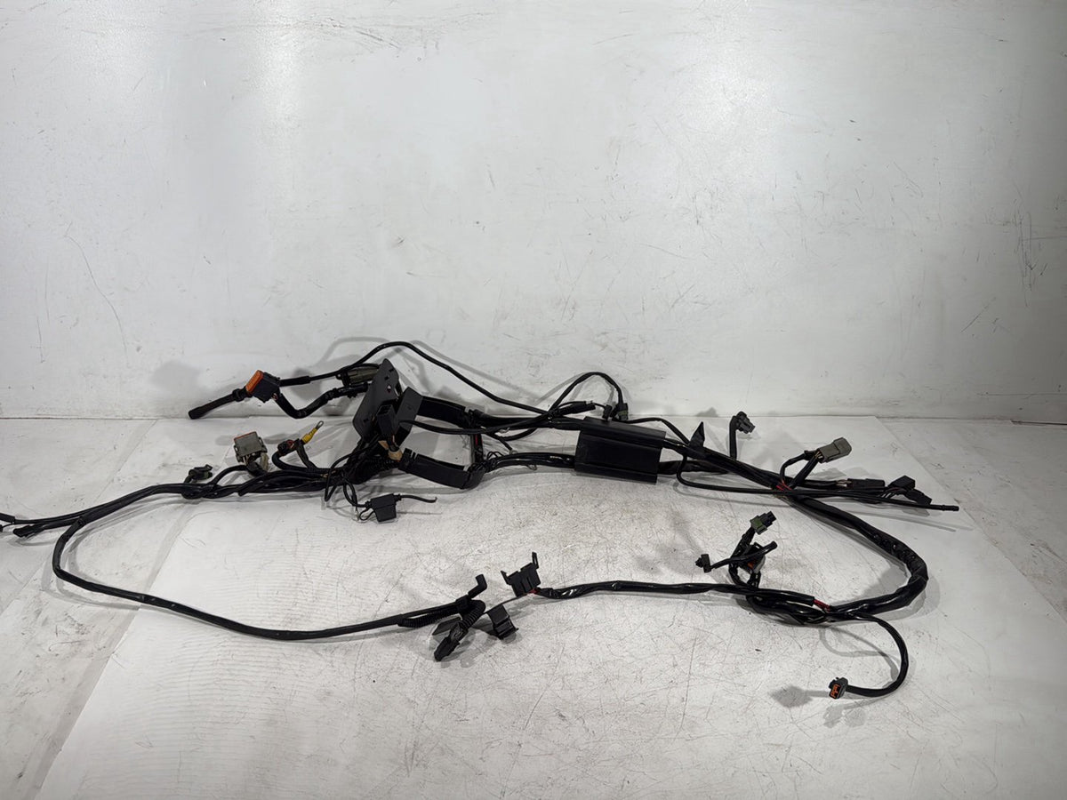 2005 Harley Softail Fat Boy FLSTF OEM Main Wire Wiring Harness Loom CARB