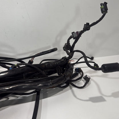 1999 - 2006 Harley-Davidson Touring Electra Glide Ultra Main Wire Wiring Harness Loom 70985-05