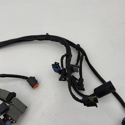 1999 - 2006 Harley-Davidson Touring Road King Custom EFI Fuel Injector Engine Wiring Wire Harness 70233-04A