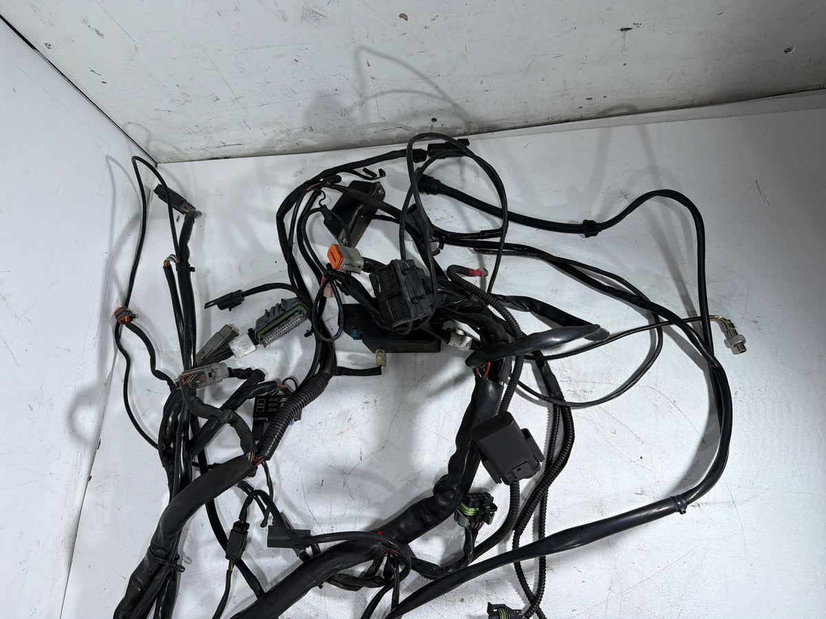 2004 Harley Electra Glide Touring Ultra OEM Main Wire Wiring Harness Loom