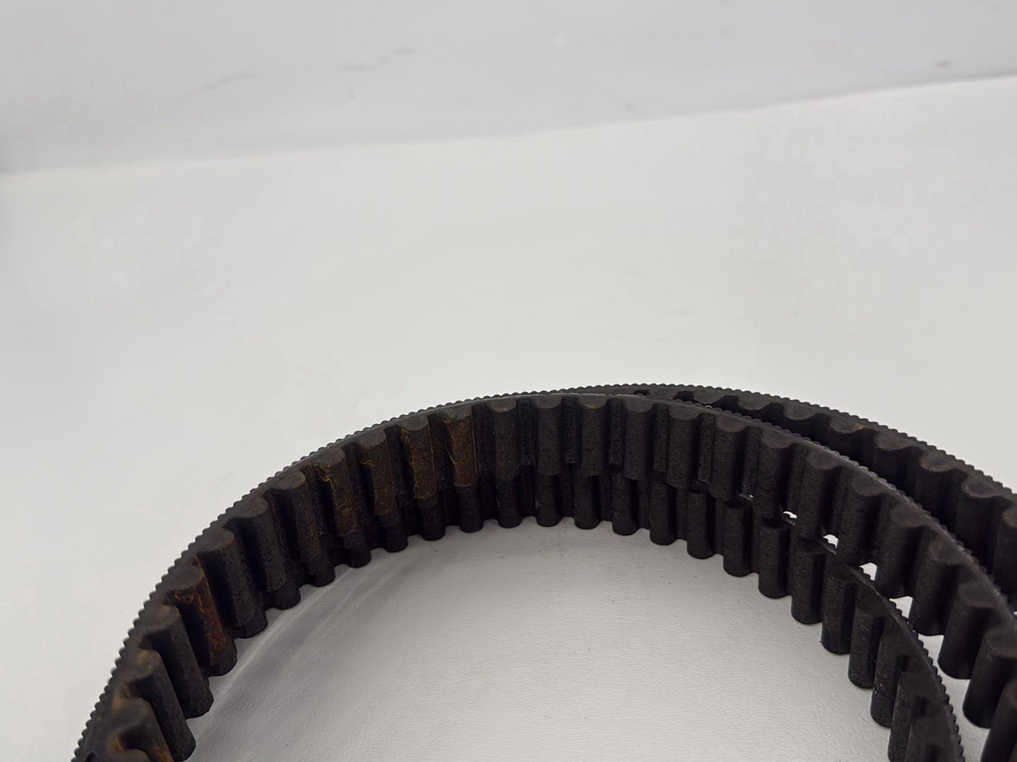 2014 Harley Sportster XL883L 883 SuperLow OEM Rear Drive Belt