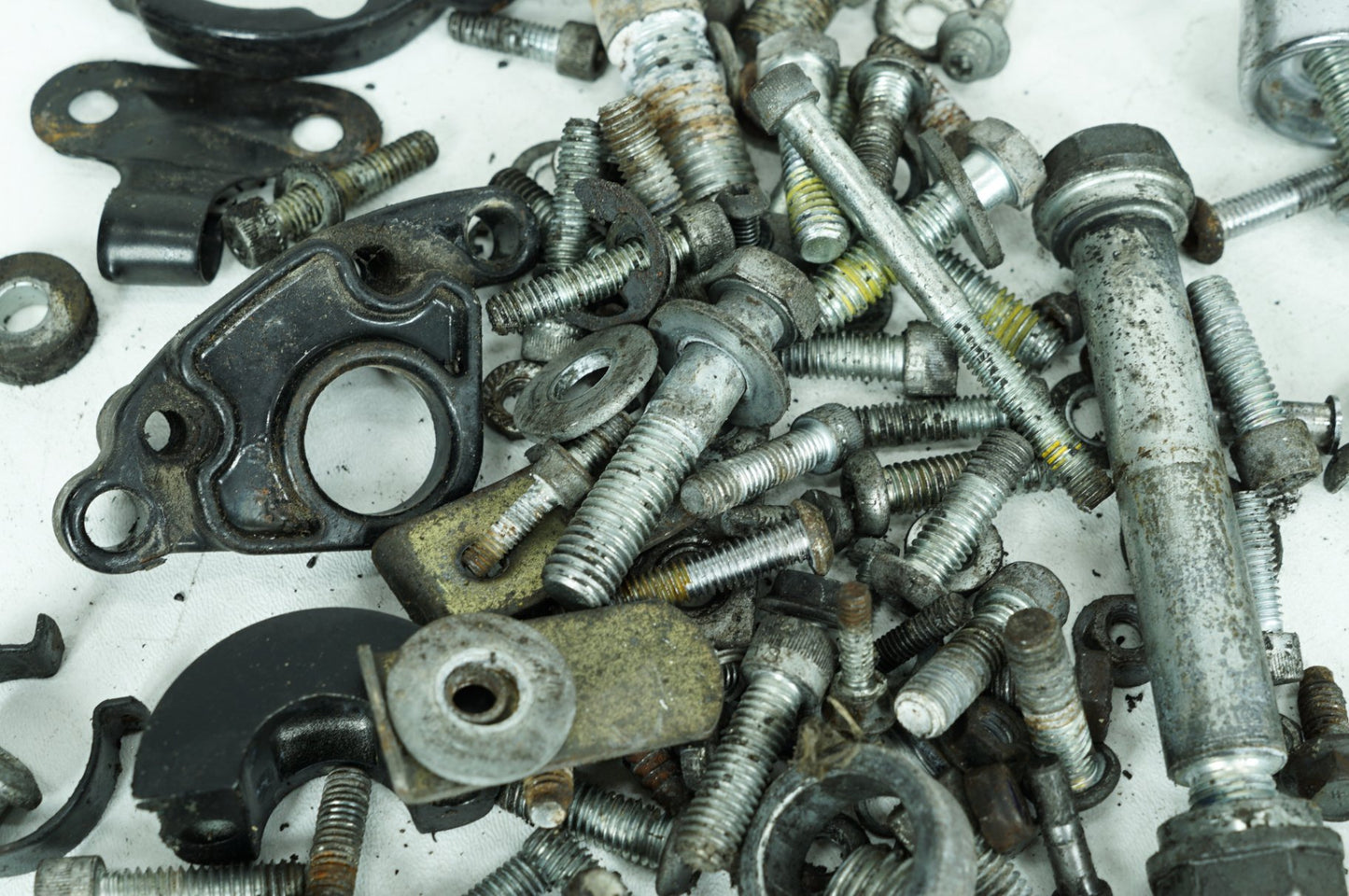 2004 - 2013 Harley-Davidson Sportster Low Hardware Bolts Nuts & Brackets