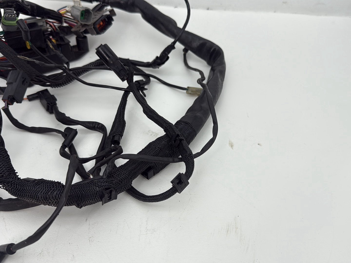 2003 Harley Sportster XL1200C 1200 Custom Anniversary OEM Main Wire Wiring Harness Ignition Switch NOKey