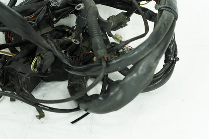 1999 - 2006 Harley-Davidson Touring Electra Glide Ultra Main Wire Wiring Harness Loom 70985-00