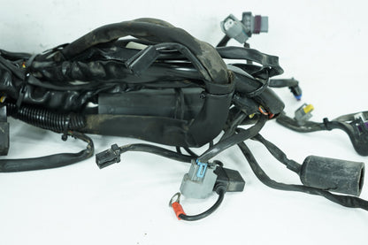 2007 - 2011 Harley-Davidson Softail Heritage Classic Main Wire Wiring Harness Loom 70431-08A