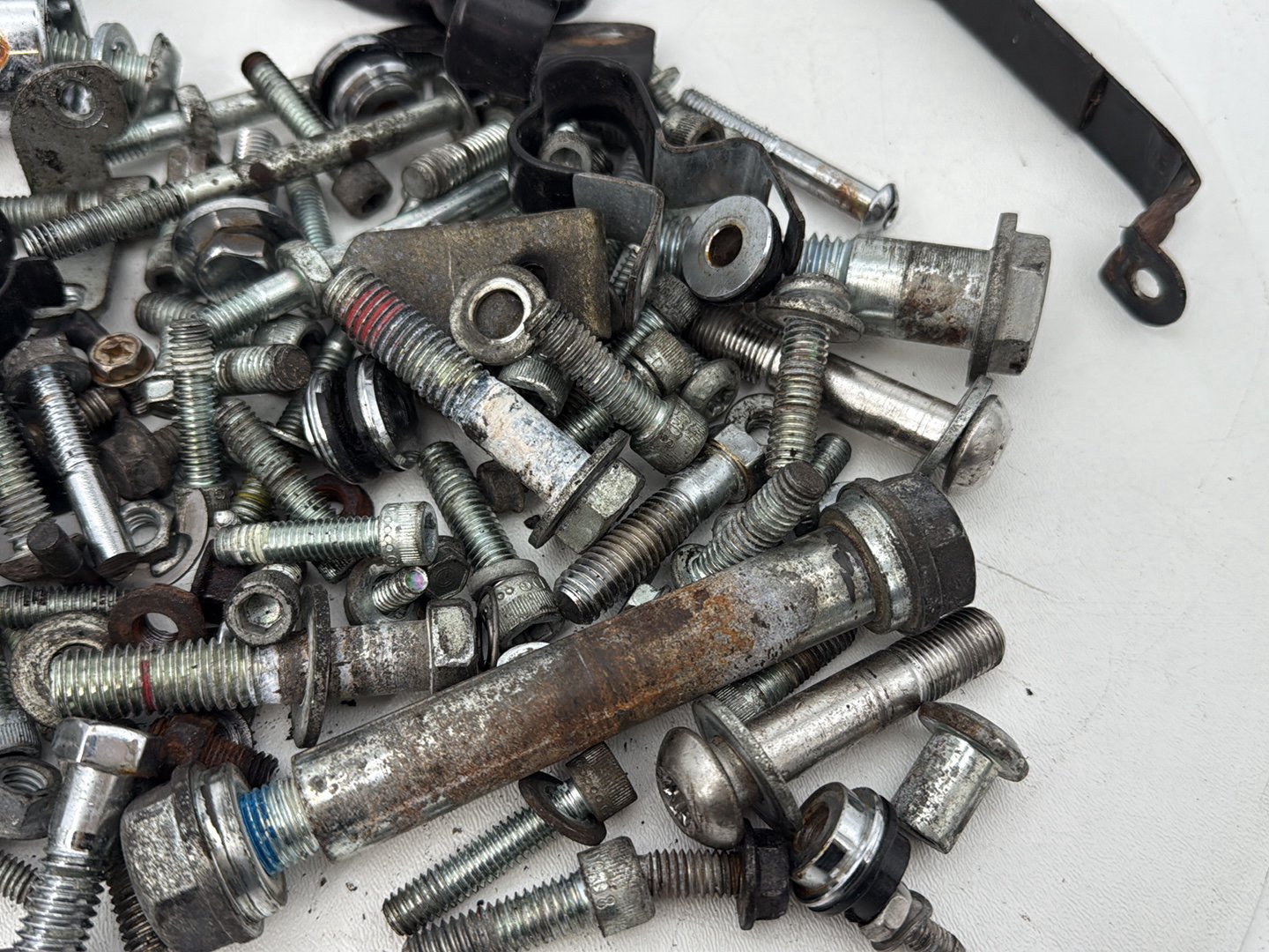 2004 - 2013 Harley-Davidson Sportster 883 Custom Hardware Bolts Nuts & Brackets