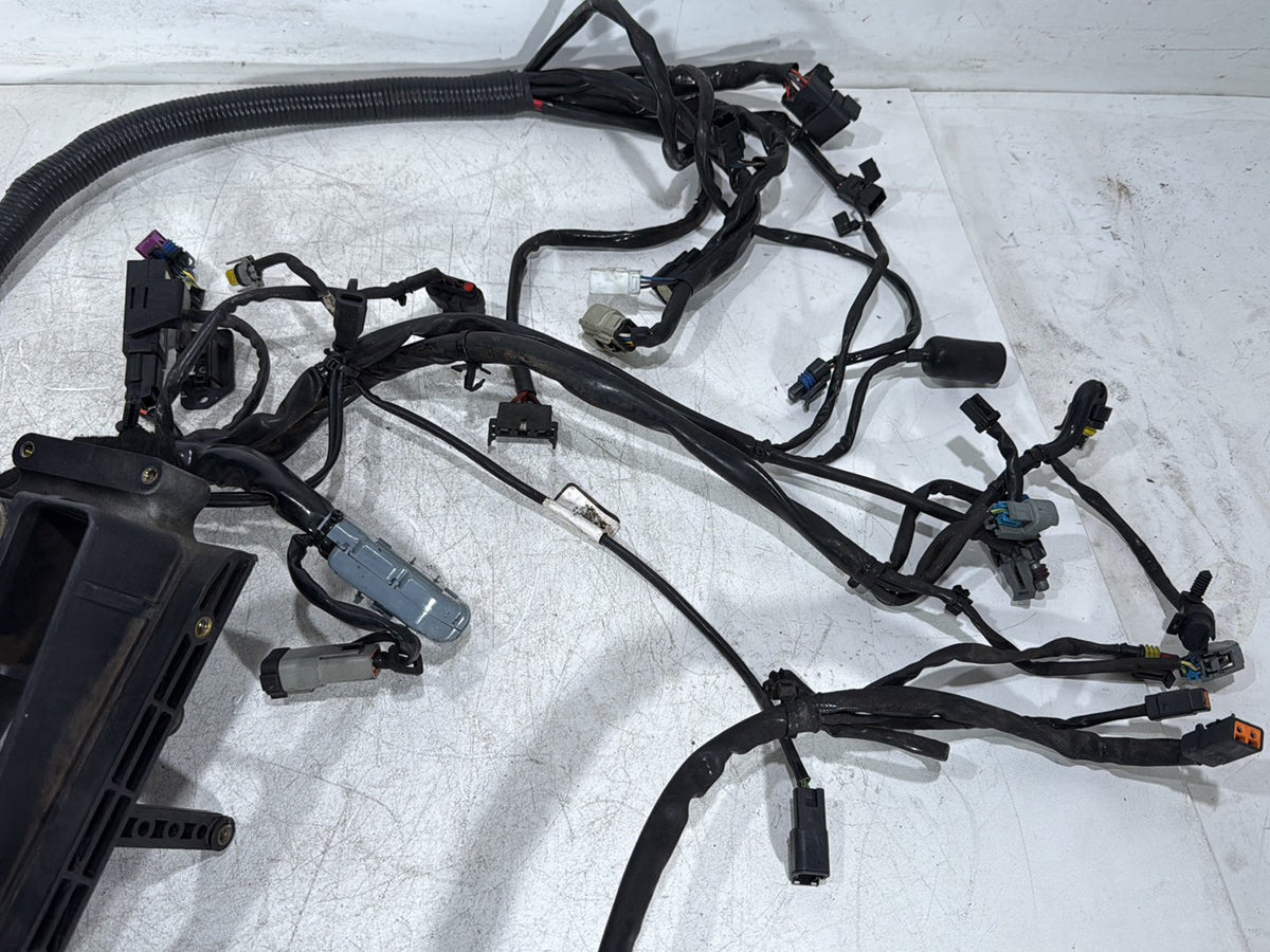 2007 Harley Dyna Street Bob FXDB OEM Main Wire Wiring Harness Loom