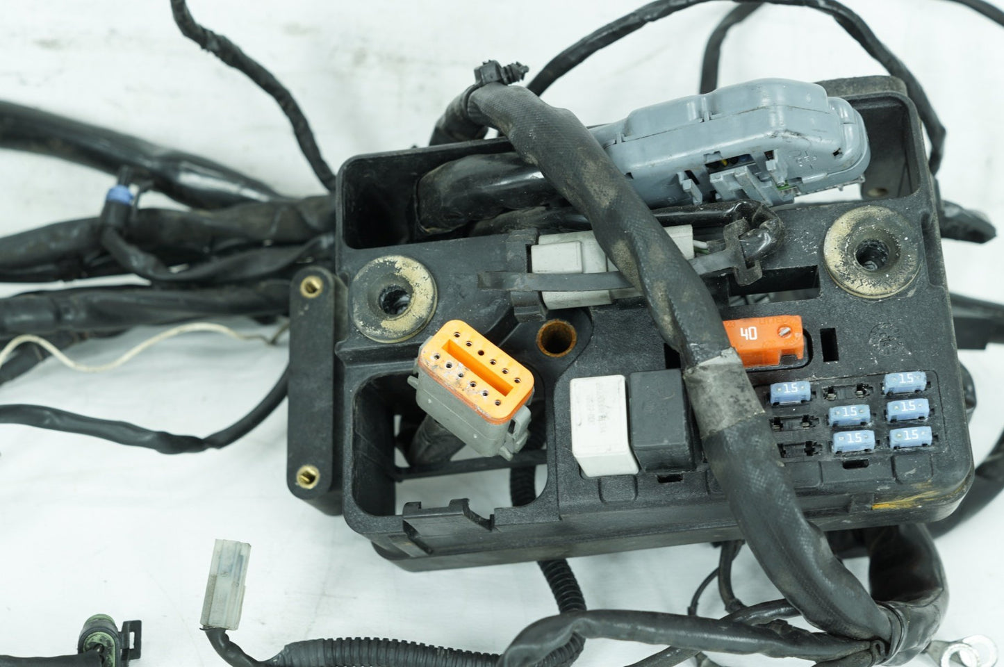 1999 - 2006 Harley-Davidson Dyna Low Rider Main Wire Wiring Harness Loom 69602-04A