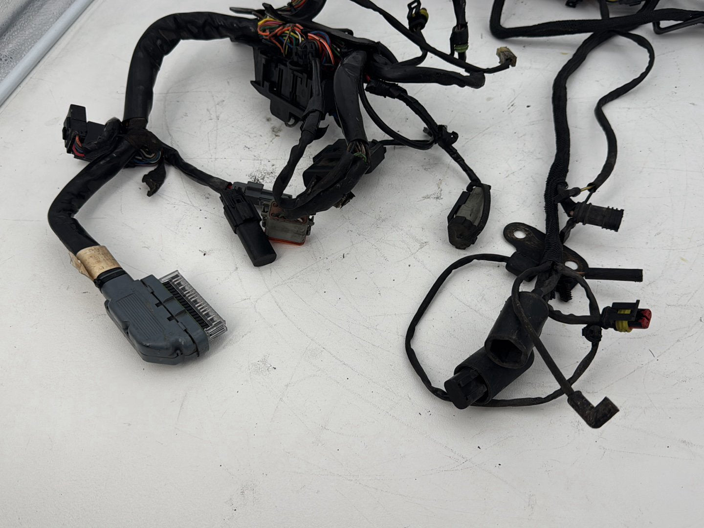 2009 Harley Sportster XL1200 1200 Main Wire Wiring Harness Ignition Switch NOKey