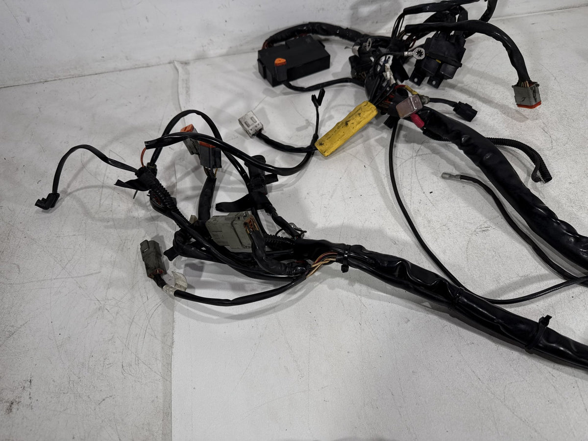 2002 Harley Electra Glide Touring Classic OEM Main Wire Wiring Harness Loom CARB