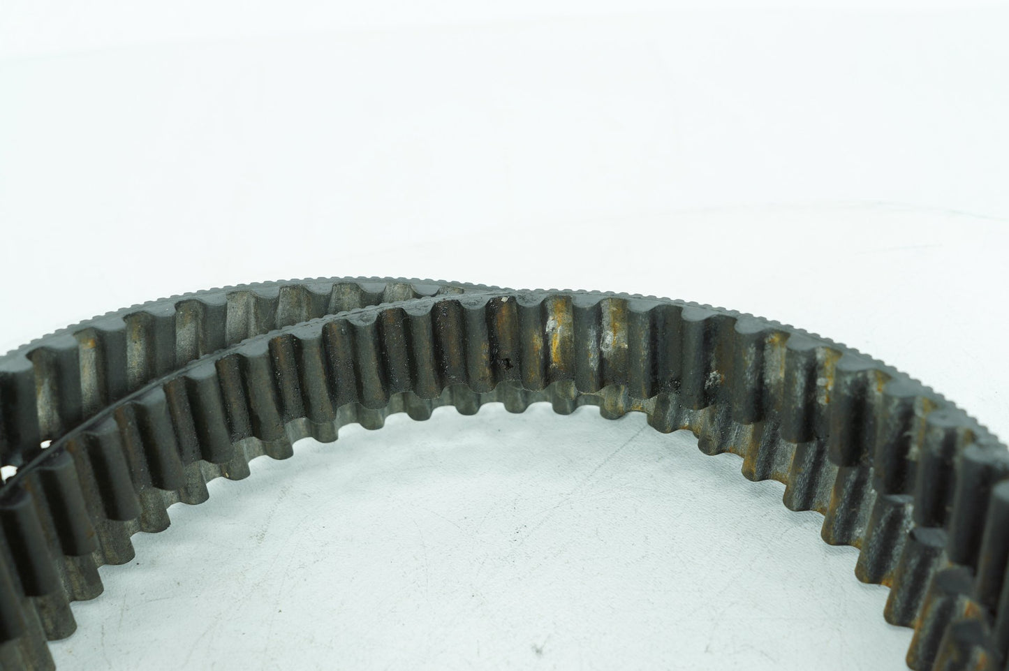 2008 - 2016 Harley-Davidson Touring Electra Glide Ultra Rear Drive Belt 40024-09