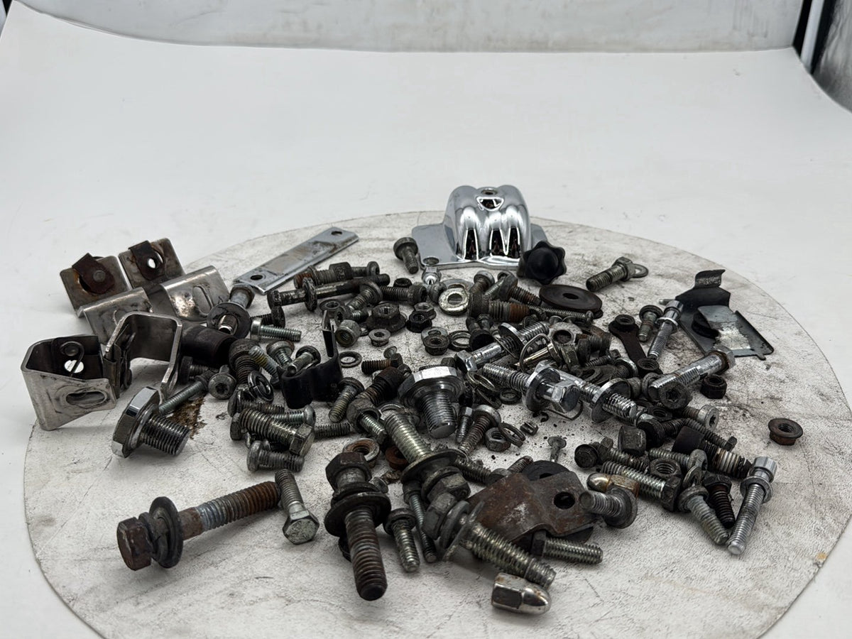 2005 Harley Electra Glide Touring CVO Eagle OEM Hardware Bolts Nuts & Brackets