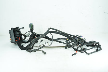 1999 - 2006 Harley-Davidson Dyna Super Glide Main Wire Wiring Harness Loom 69602-06