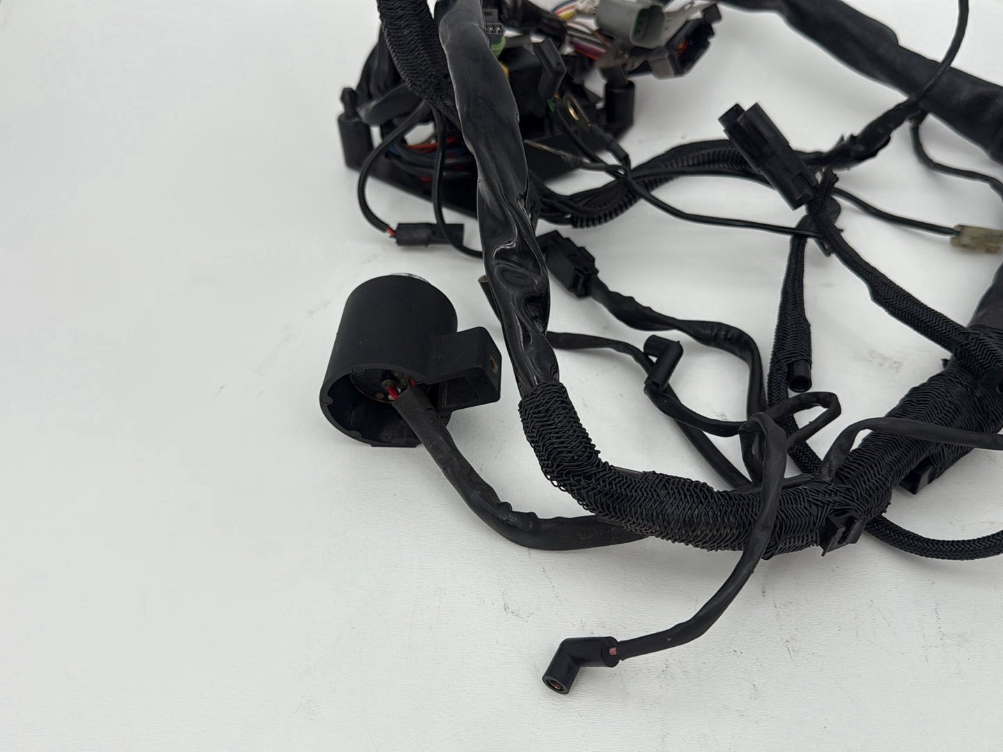 2003 Harley Sportster XL1200C 1200 Custom Anniversary OEM Main Wire Wiring Harness Ignition Switch NOKey