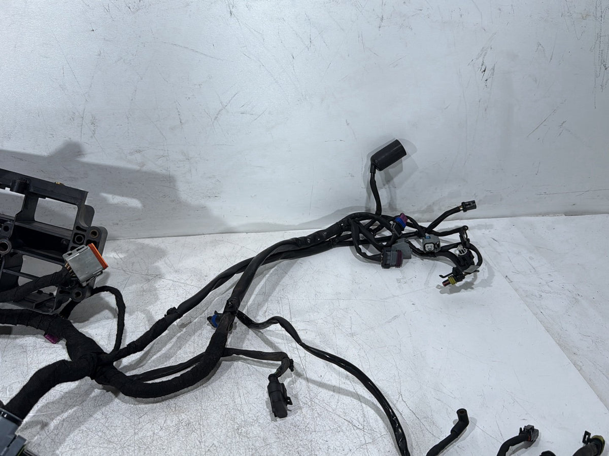 2009 Harley Dyna Street Bob FXDB OEM Main Wire Wiring Harness Loom