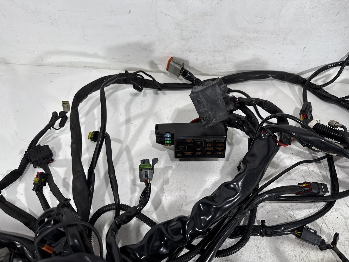 2007 Harley Electra Glide Touring CVO Eagle OEM Main Wire Wiring Harness Loom