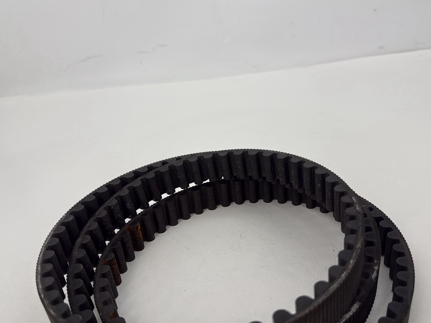 2014 Harley Sportster XL883L 883 SuperLow OEM Rear Drive Belt