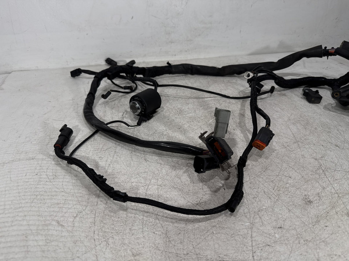 2000 Harley Sportster 1200 Custom XL1200C OEM Main Wire Wiring Harness Ignition Switch NOKey