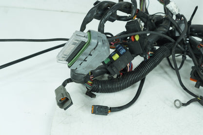 2000 - 2006 Harley-Davidson Softail Deuce Main Wire Wiring Harness Loom 70216-01