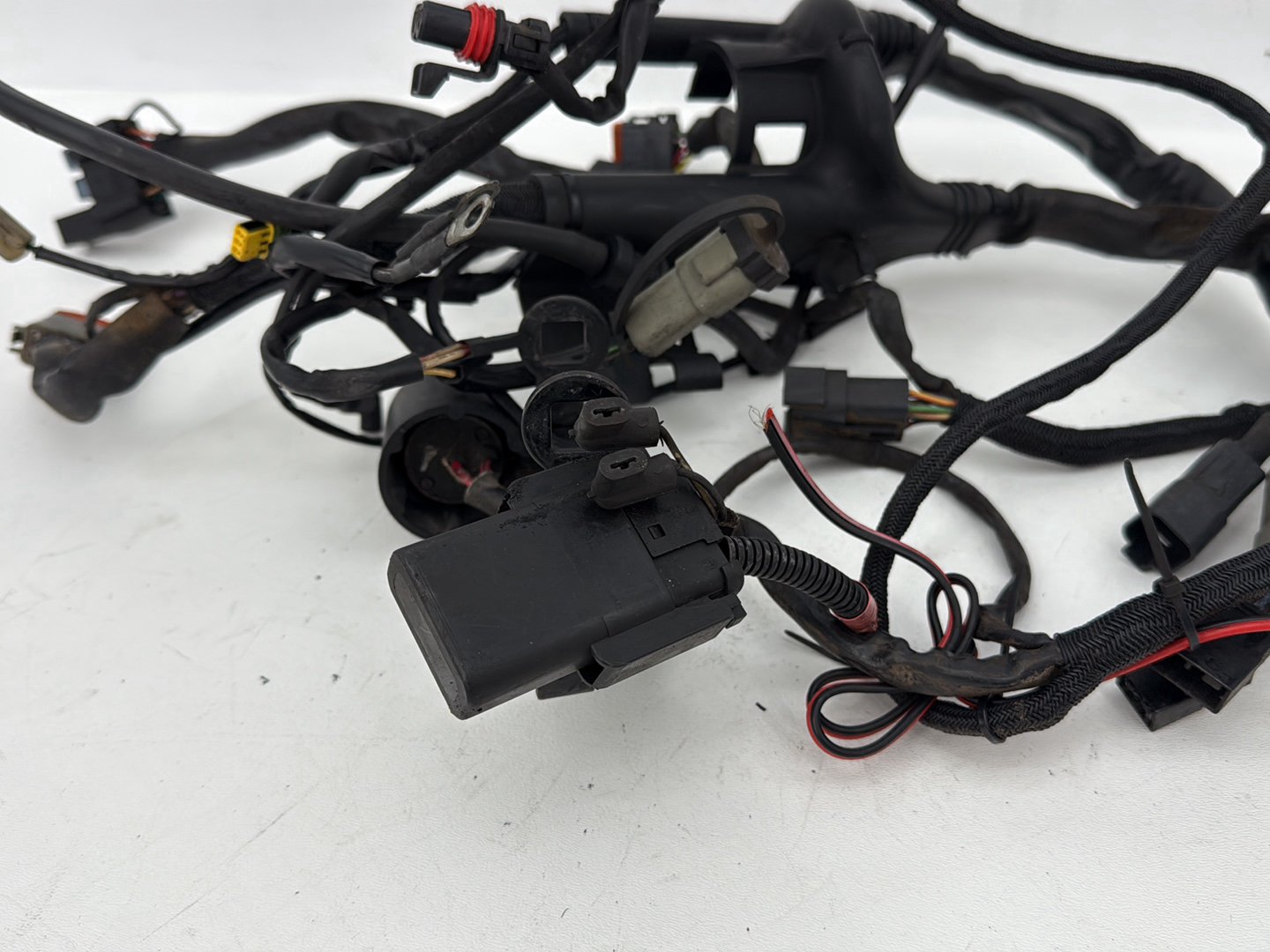 2004 - 2013 Harley-Davidson Sportster 883 Custom Main Wire Wiring Harness Ignition Switch NOKey 70139-06