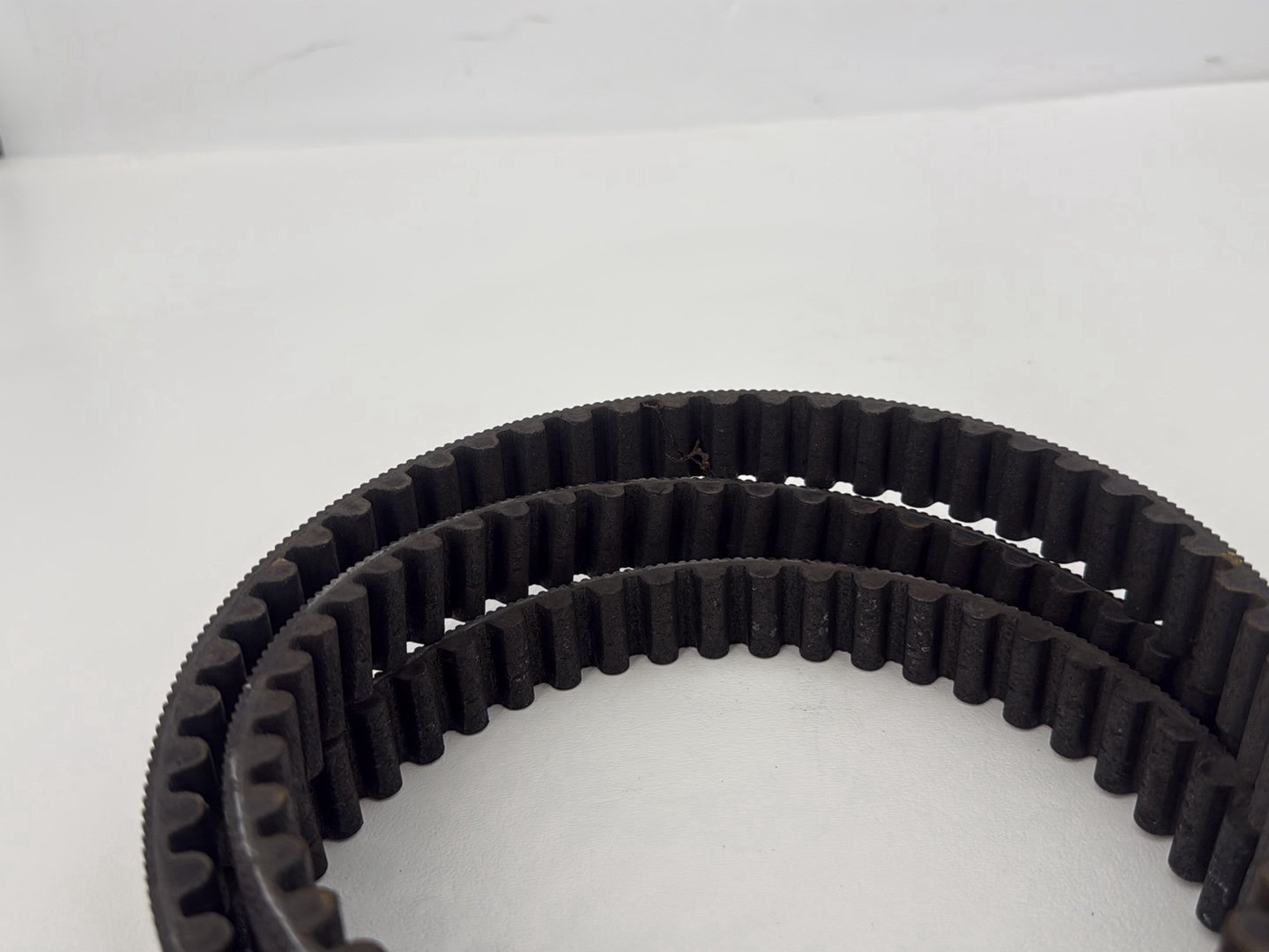 2014 Harley Sportster XL883L 883 SuperLow OEM Rear Drive Belt