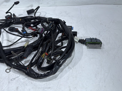 2003 Harley Road King Touring FLHRCI Classic OEM Main Wire Wiring Harness Loom