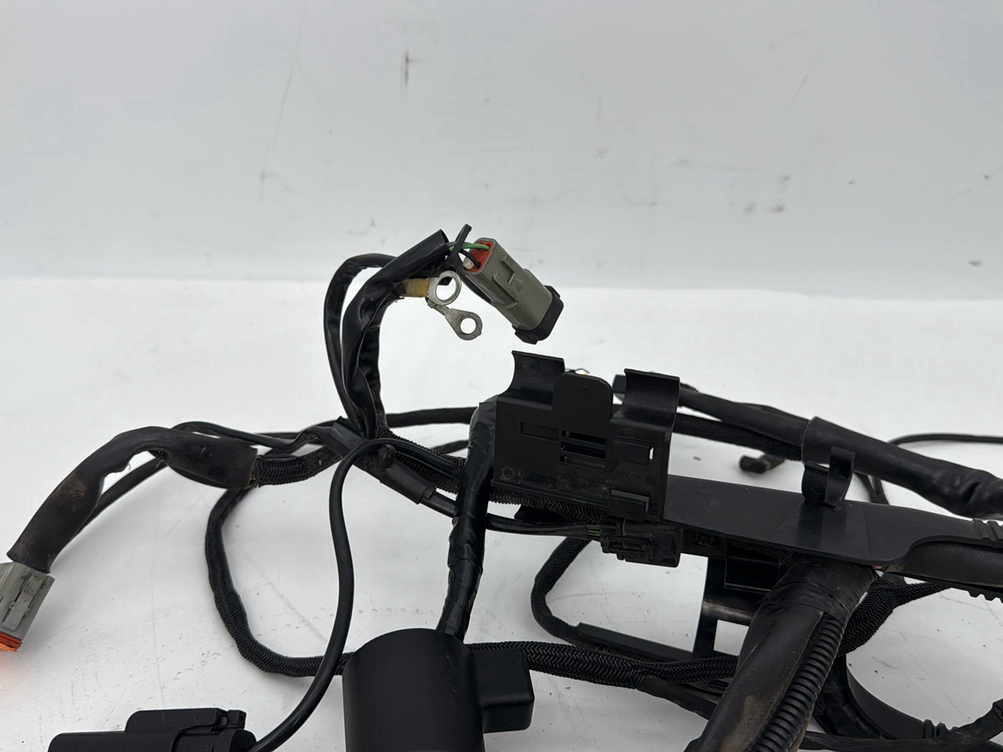 2004 - 2013 Harley-Davidson Sportster 1200 Custom Main Wire Wiring Harness Ignition Switch NOKey 70139-06