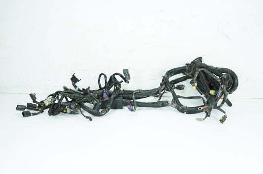 2007 - 2013 Harley-Davidson Softail Heritage Classic Main Wire Wiring Harness Loom 70431-08A