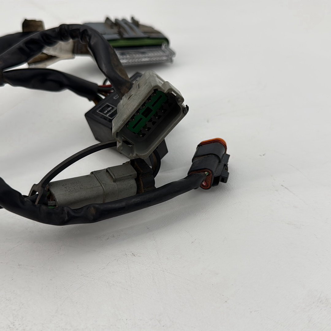 1999 - 2006 Harley-Davidson Touring Road King Custom EFI Fuel Injector Engine Wiring Wire Harness 70233-04A
