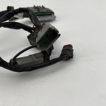 1999 - 2006 Harley-Davidson Touring Road King Custom EFI Fuel Injector Engine Wiring Wire Harness 70233-04A