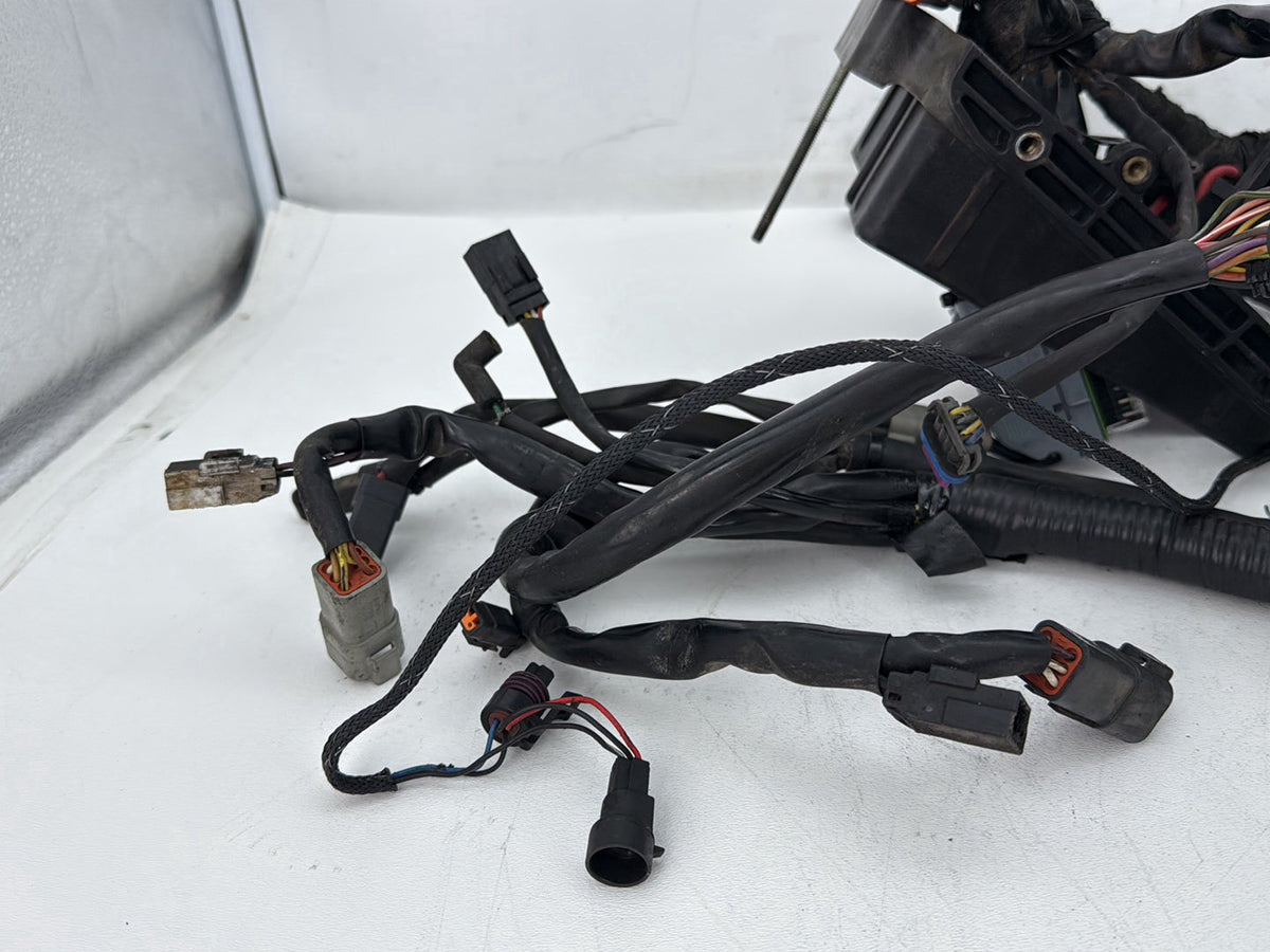 06 Harley Dyna FXDWGI Wide Glide OEM Main Wire Wiring Harness Loom EFI 69603-06