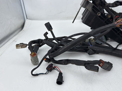 2006 Harley Dyna FXDWGI Wide Glide OEM Main Wire Wiring Harness Loom