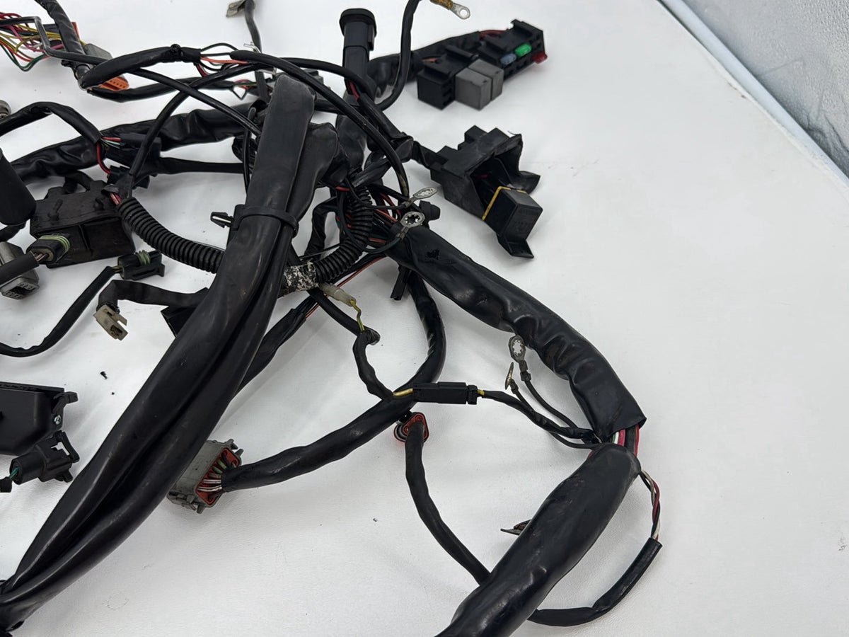 1999 - 2006 Harley-Davidson Touring Electra Glide Classic Main Wire Wiring Harness Loom 70985-01